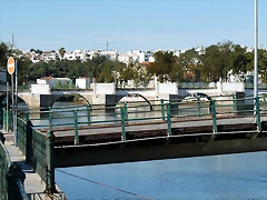 P1070807 P1070807