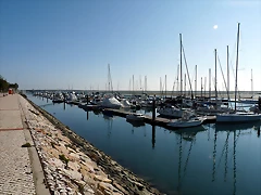 P1070882 P1070882