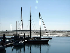 P1070883 P1070883