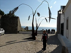 P1070895 P1070895