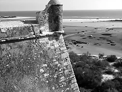 P1070907 P1070907