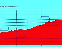 PICACHO1