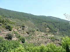P1070225 P1070225