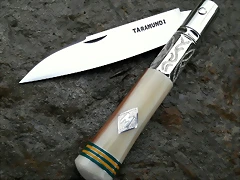 IMG-20170111-WA0032 IMG-20170111-WA0032