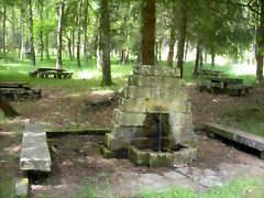 DSCN5356 DSCN5356