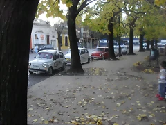 SDC12546 SDC12546