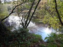 DSCN3756 DSCN3756
