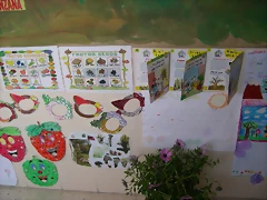 DSCN6784 DSCN6784
