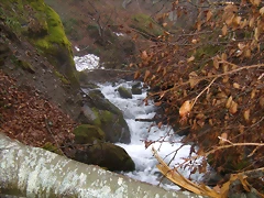 P3070115 P3070115