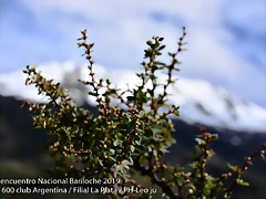 DSC_0166 DSC_0166