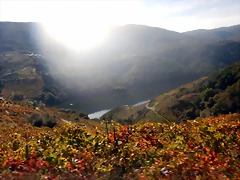 DSCN4654 DSCN4654