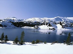 Emerging Winter, Yosemite National Park Emerging Winter, Yosemite National Park
