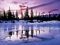 Evening Freeze Evening Freeze