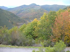 DSCN6187 DSCN6187
