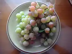 uvas de huerta1