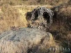 El Parque de los Desvelados