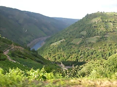DSCN1880 DSCN1880