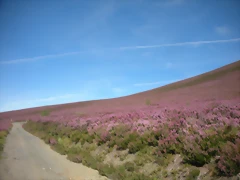 DSCN5110 DSCN5110