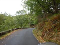 DSCN0345 DSCN0345