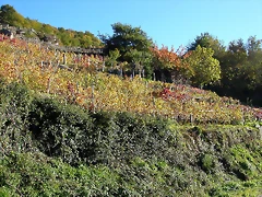 DSCN6455 DSCN6455