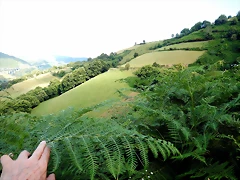 DSCN9280 DSCN9280