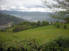DSCN4550 DSCN4550
