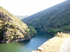 DSCN4696 DSCN4696