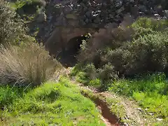 segundo paso nacional