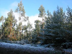 DSCN7482 DSCN7482