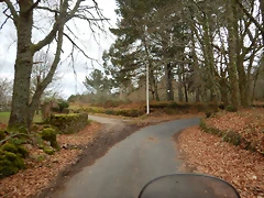 DSCN0220 DSCN0220
