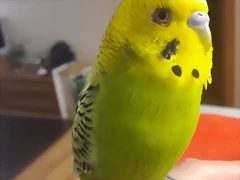 20170311_083206