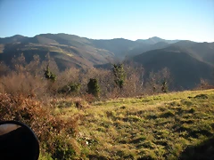 DSCN2393 DSCN2393