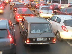 P9110340 P9110340