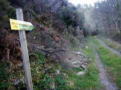 DSCN2642 DSCN2642