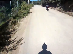 F1