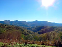 DSCN8988 DSCN8988