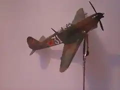 Yak9D9