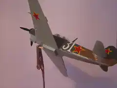 Yak9d11