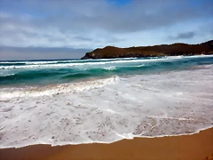 DSCN7092