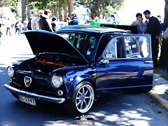 CAS_4081 CAS_4081