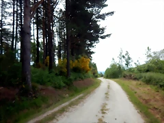 DSCN4314 DSCN4314