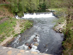 DSCN4348 DSCN4348