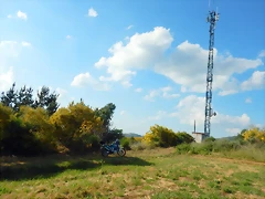 DSCN9237 DSCN9237