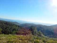 DSCN9035