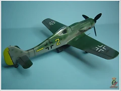 fw-190 - 07 (6)