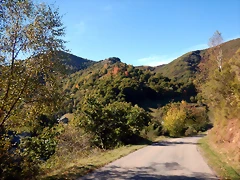 DSCN0101 DSCN0101