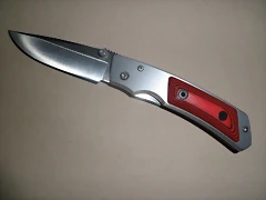 SAM_1921