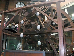 DSCN4076 DSCN4076