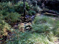 DSCN8470 DSCN8470