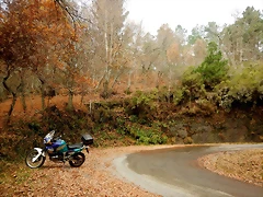 DSCN3129 DSCN3129